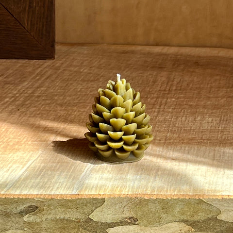 The Authentic Honey Co. Medium Pinecone