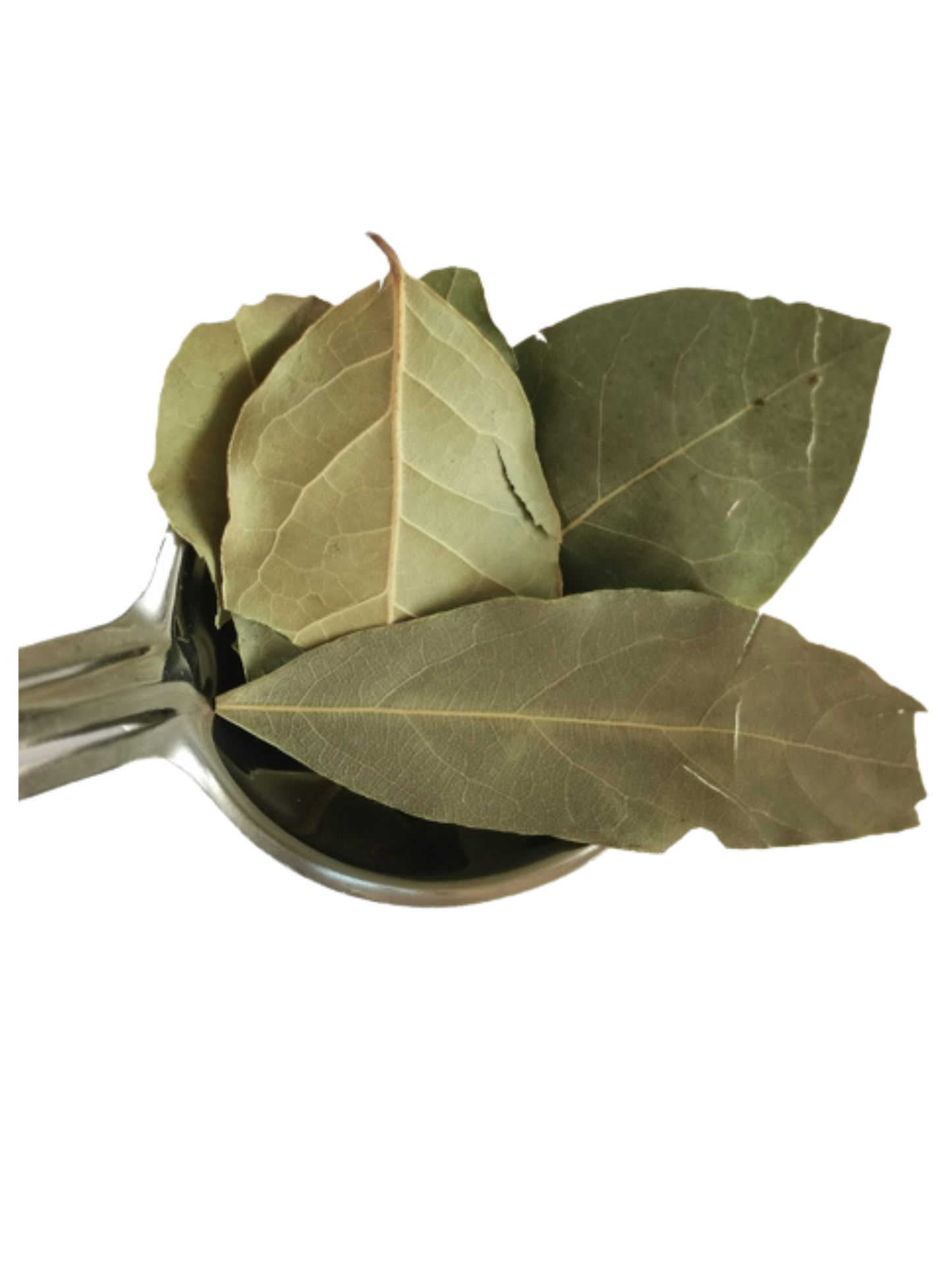Bay leaves