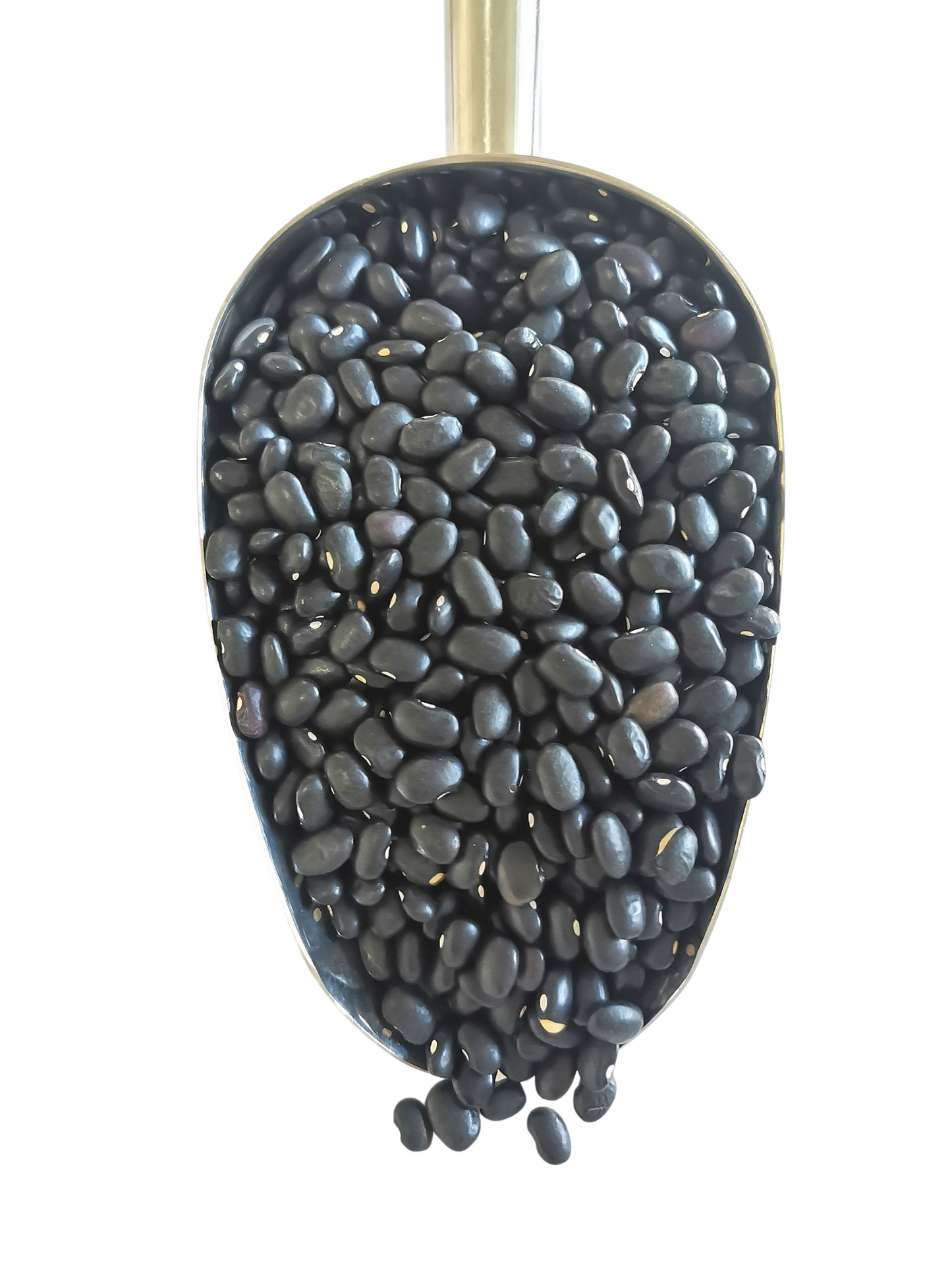 Black Turtle Beans