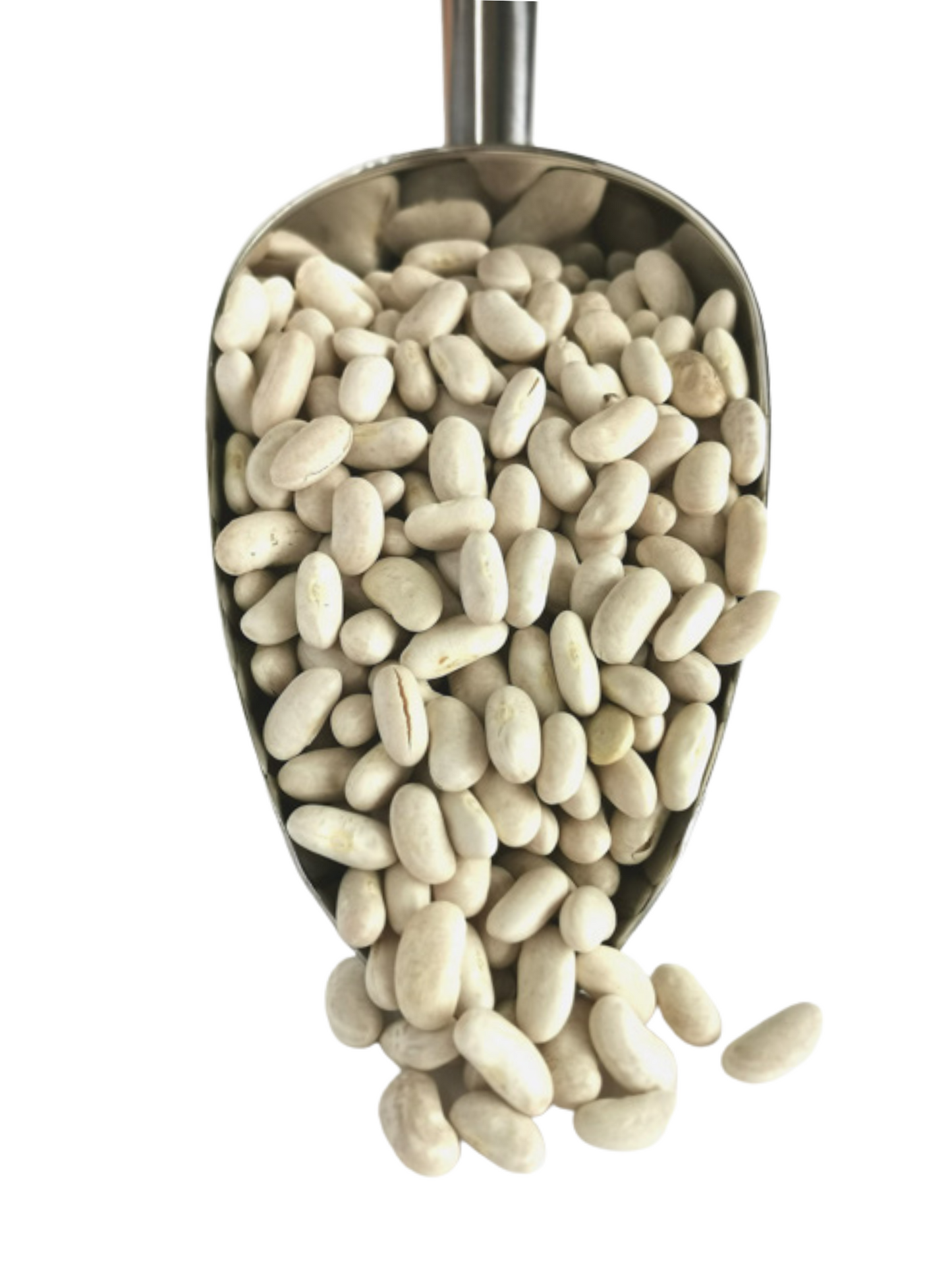 Alubia Beans (Cannellini Beans)