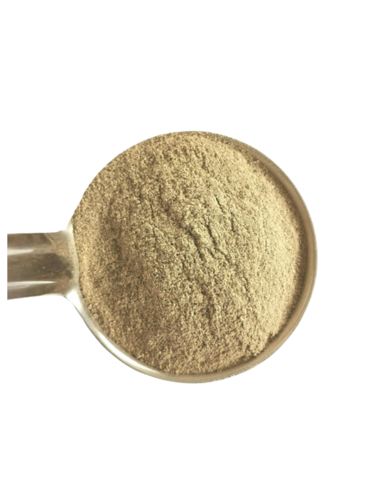 Organic Ground Cardamom