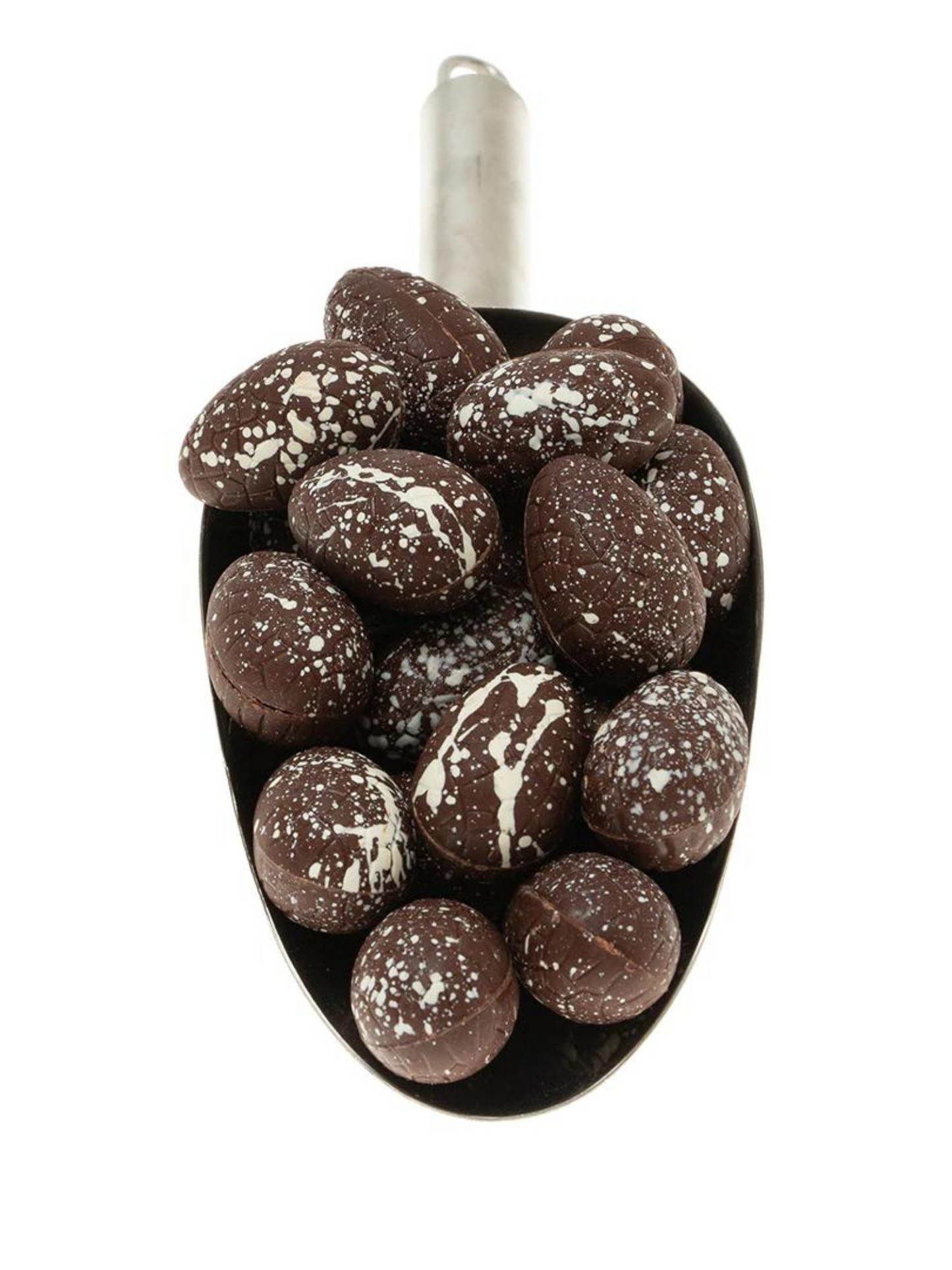 She Universe Easter Eggs