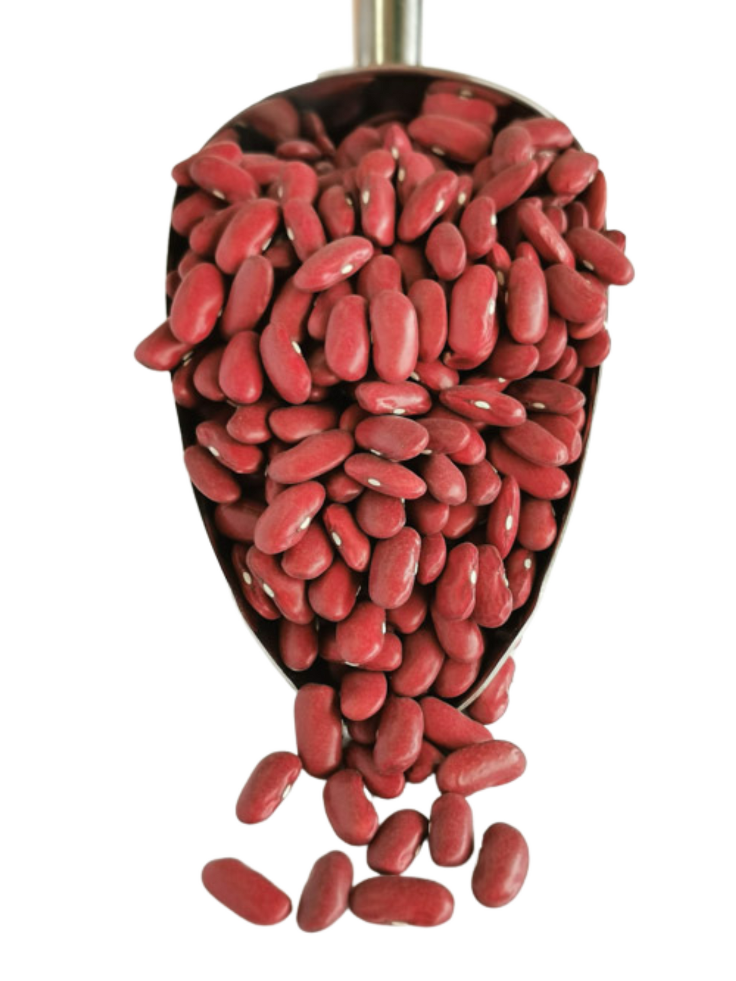 Red Kidney Beans