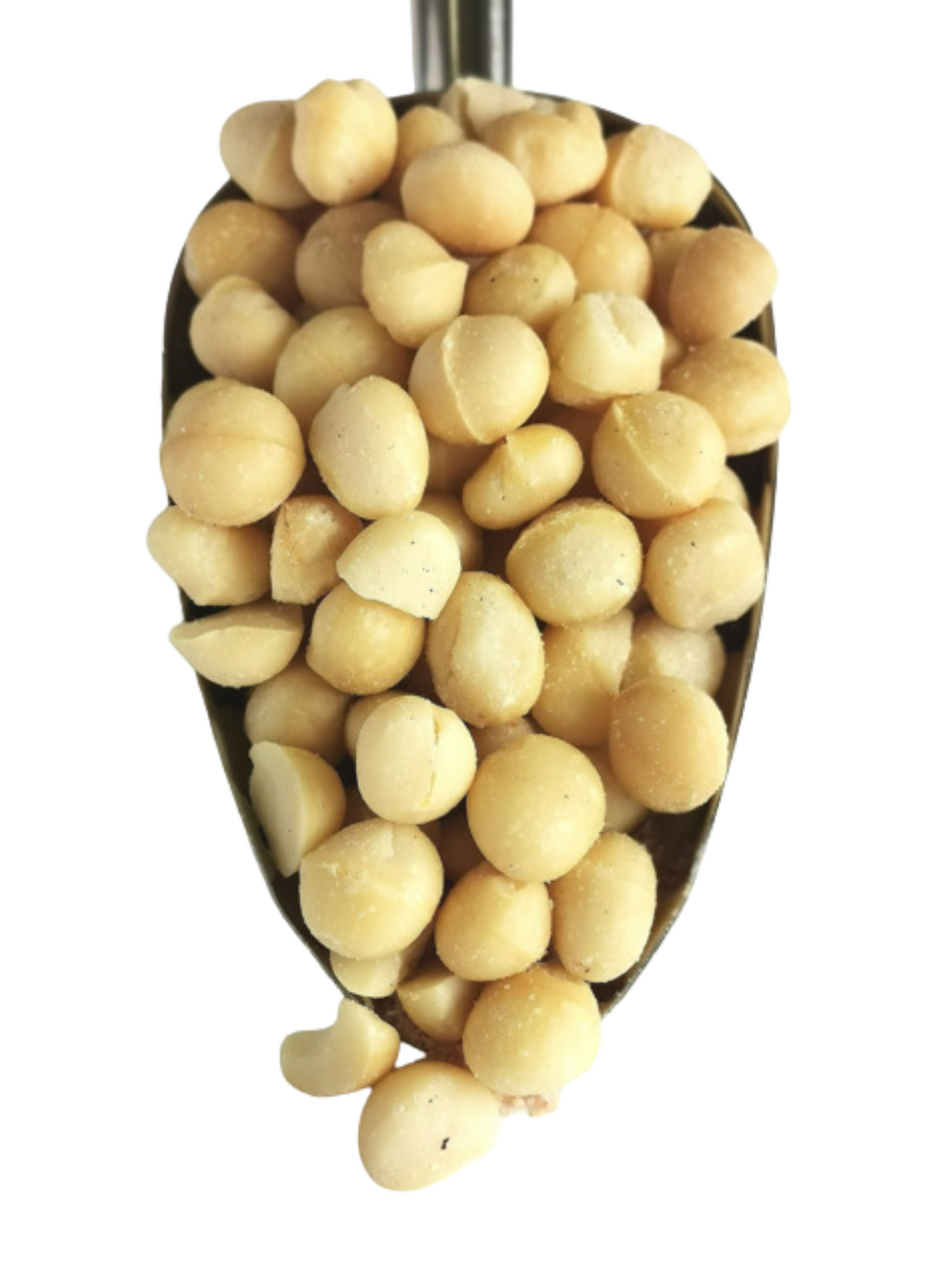 Macadamia Nuts - Roasted & Salted