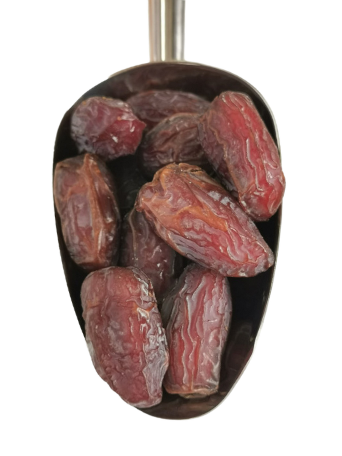Organic Medjool Dates (with pits)