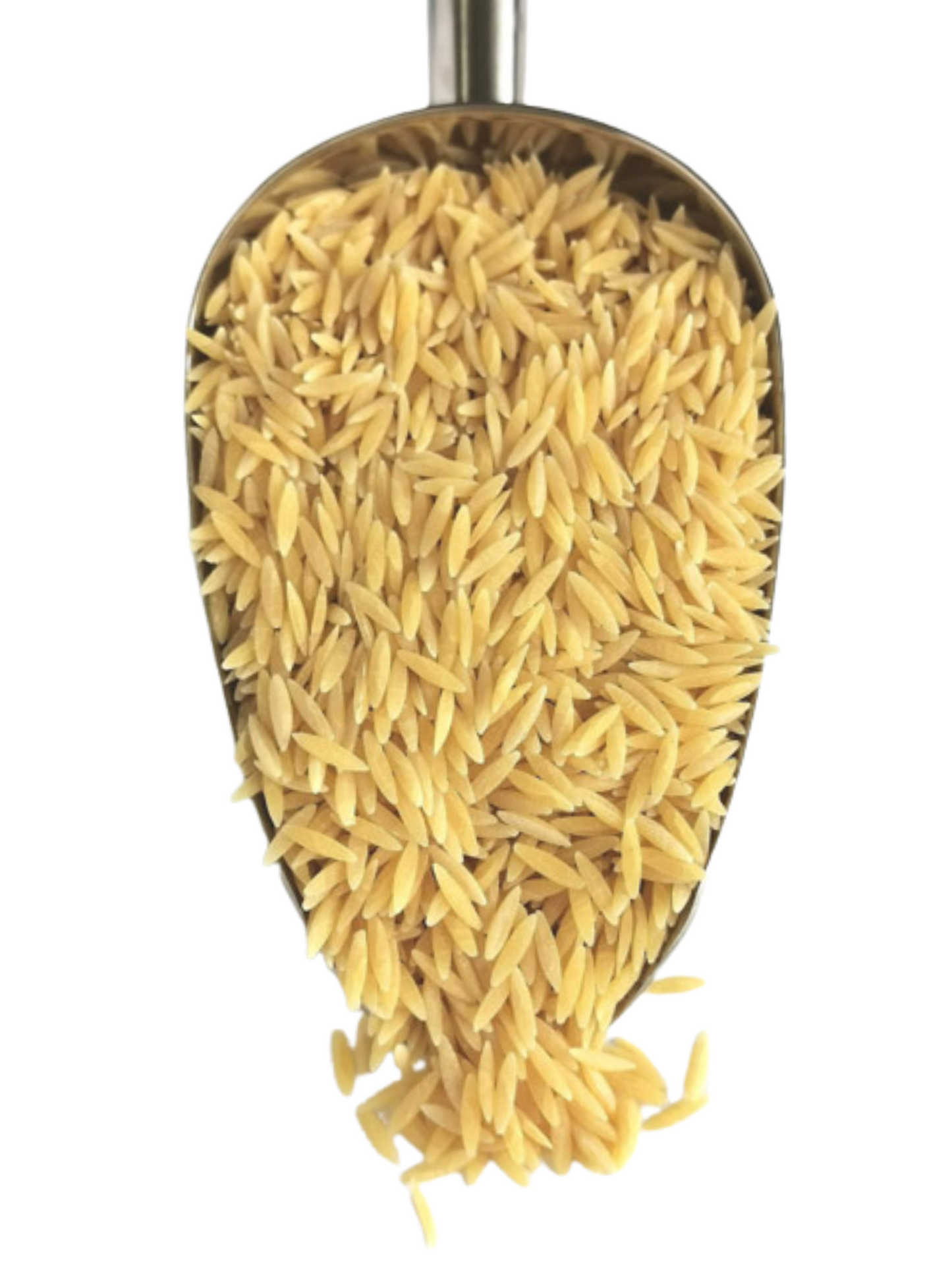 Orzo Pasta