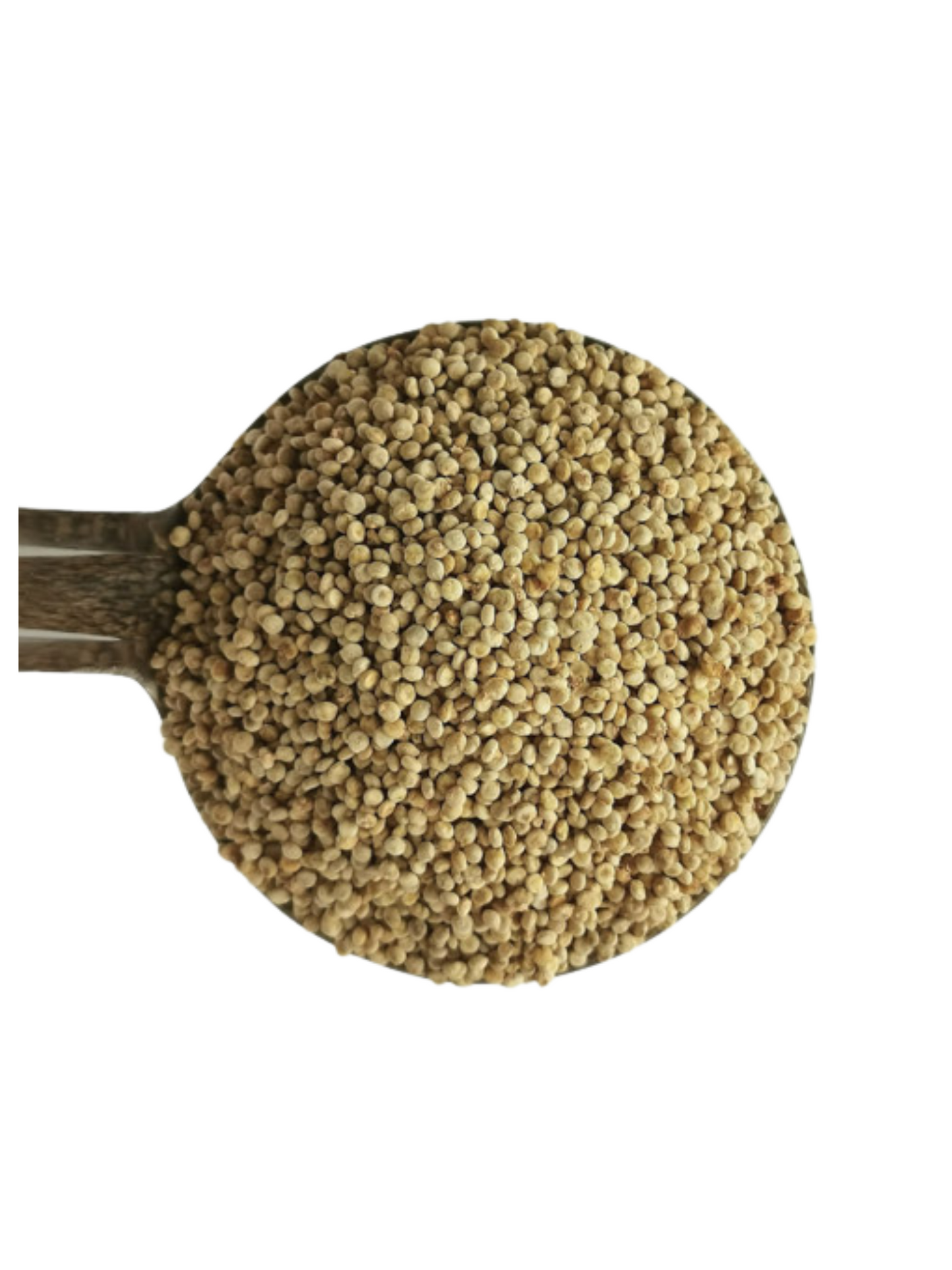 Kiwi Quinoa - White