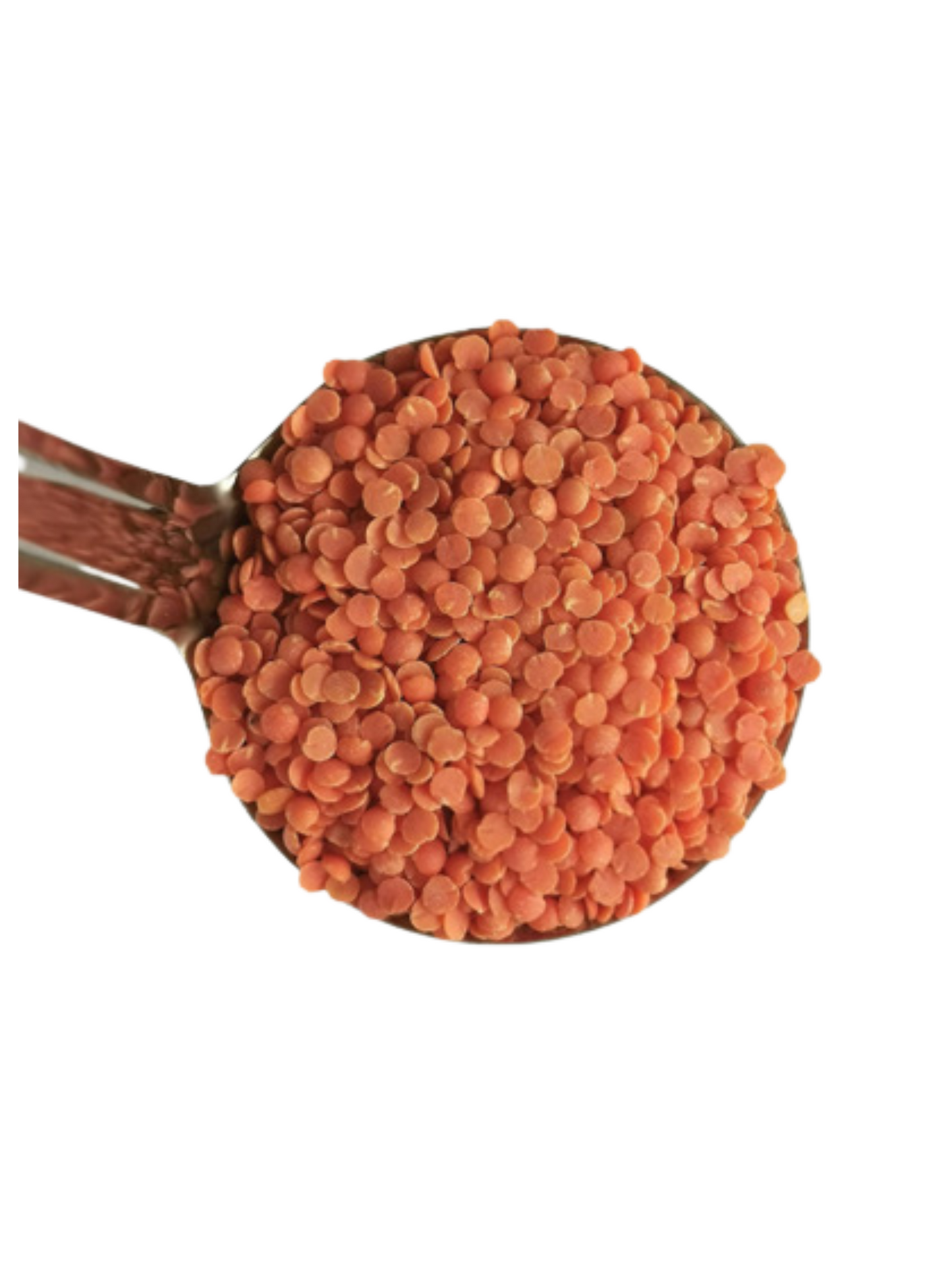 Organic Split Red Lentils
