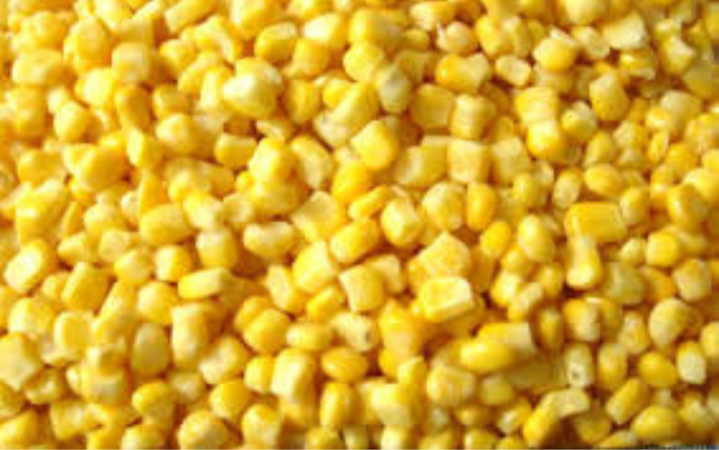 oob Frozen Sweetcorn