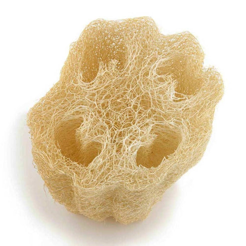 Egyptian Cleopatra Loofah - Large
