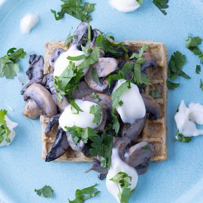 Wopples - Gourmet Toaster Waffles