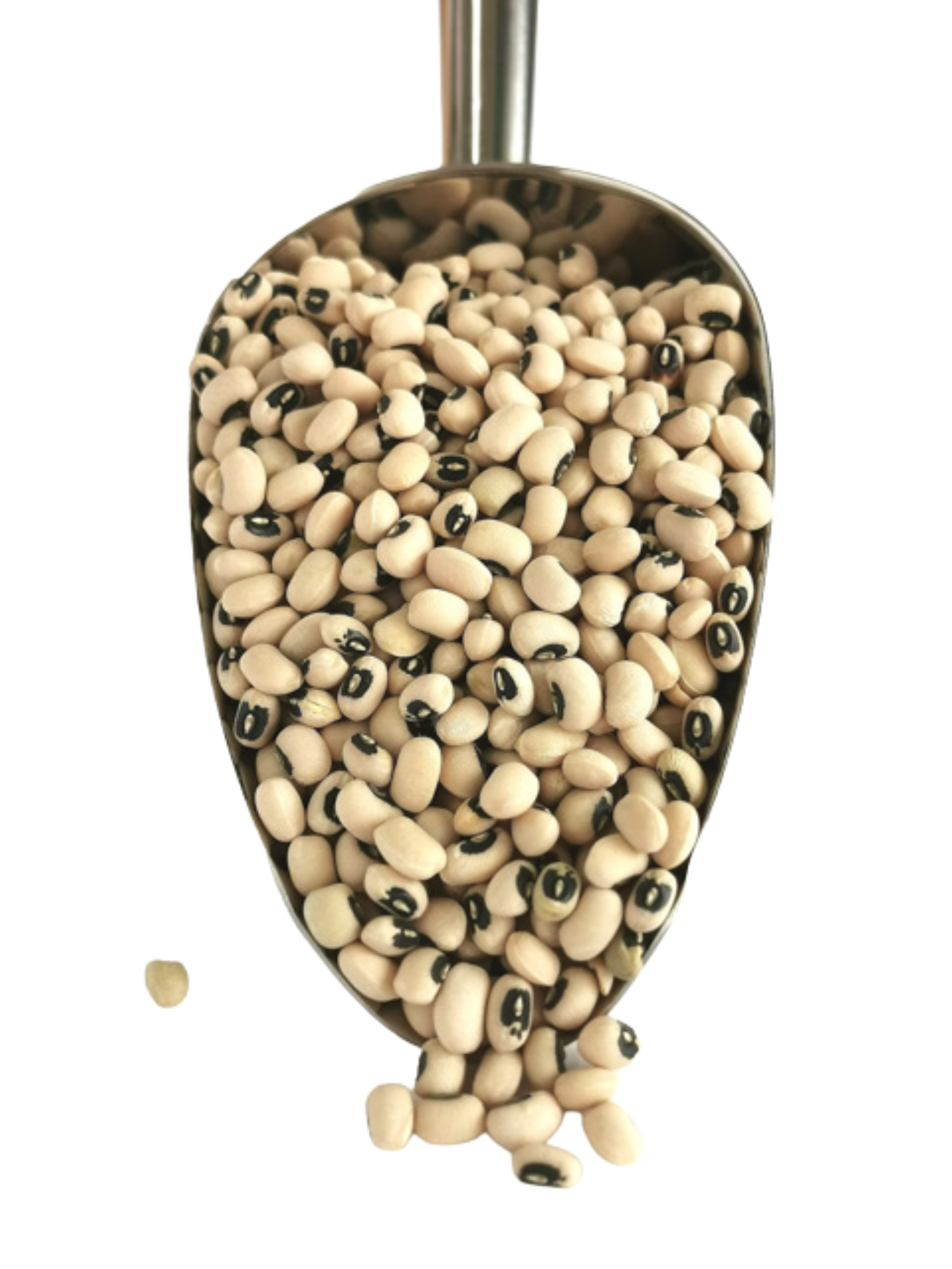 Black - Eyed Beans
