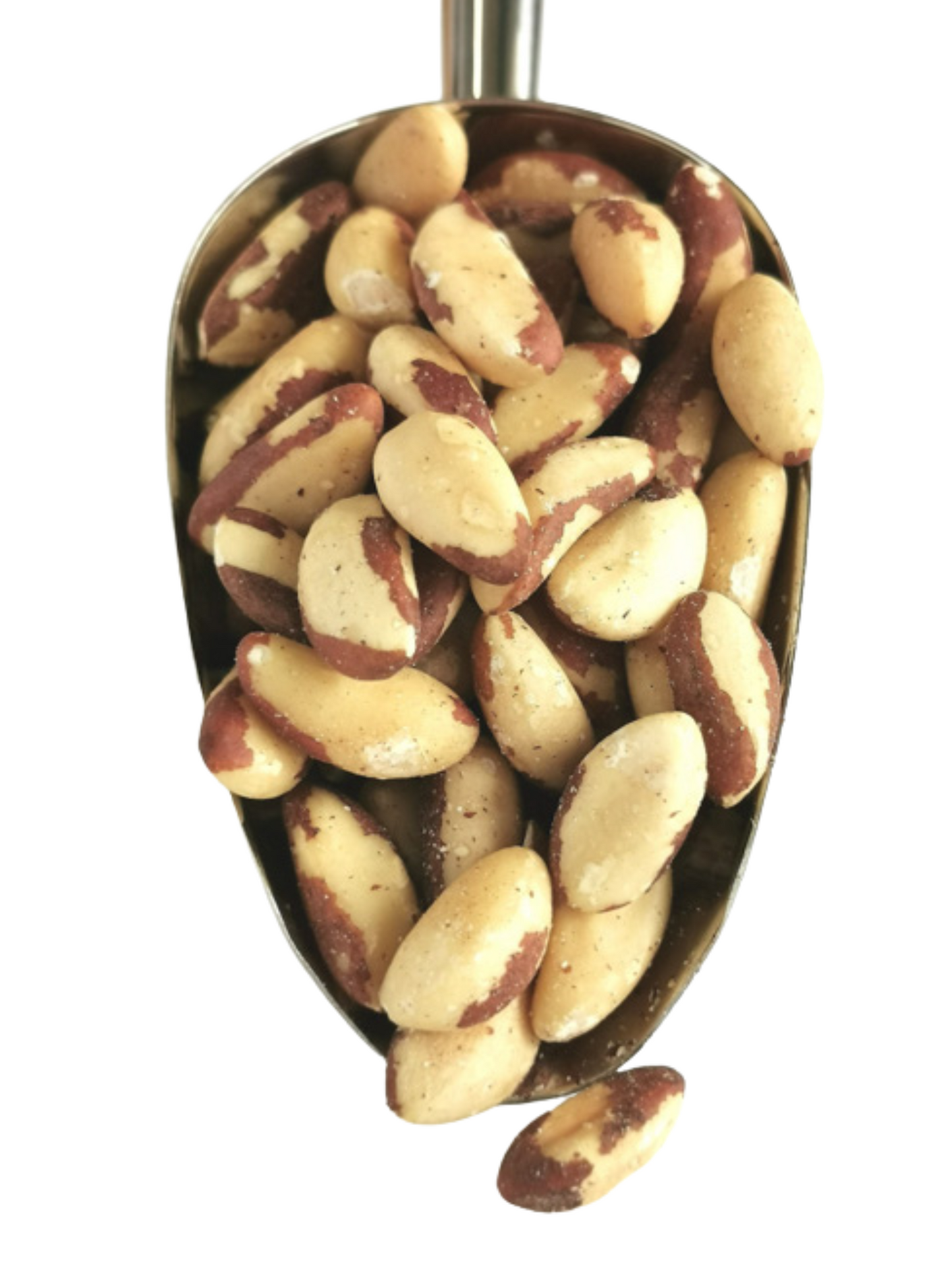 Whole Brazil Nuts