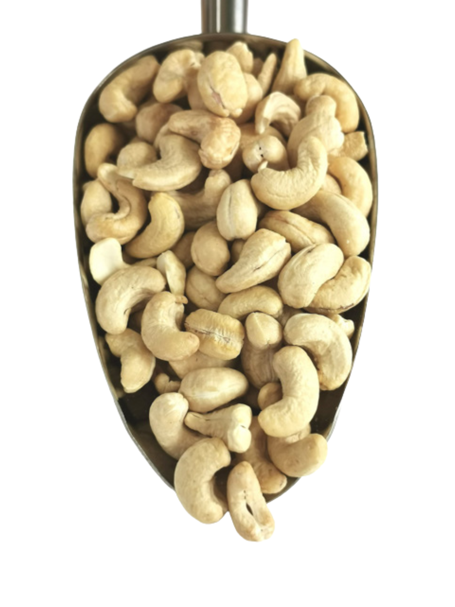 Dried raw best sale cashew nuts