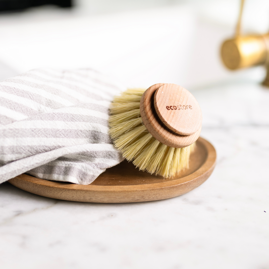 Ecostore Dishbrush Replacement Head 50mm