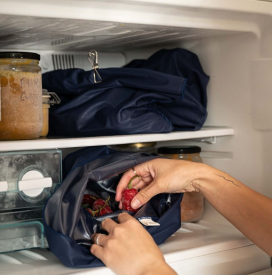 Re-usable Freezer Bags