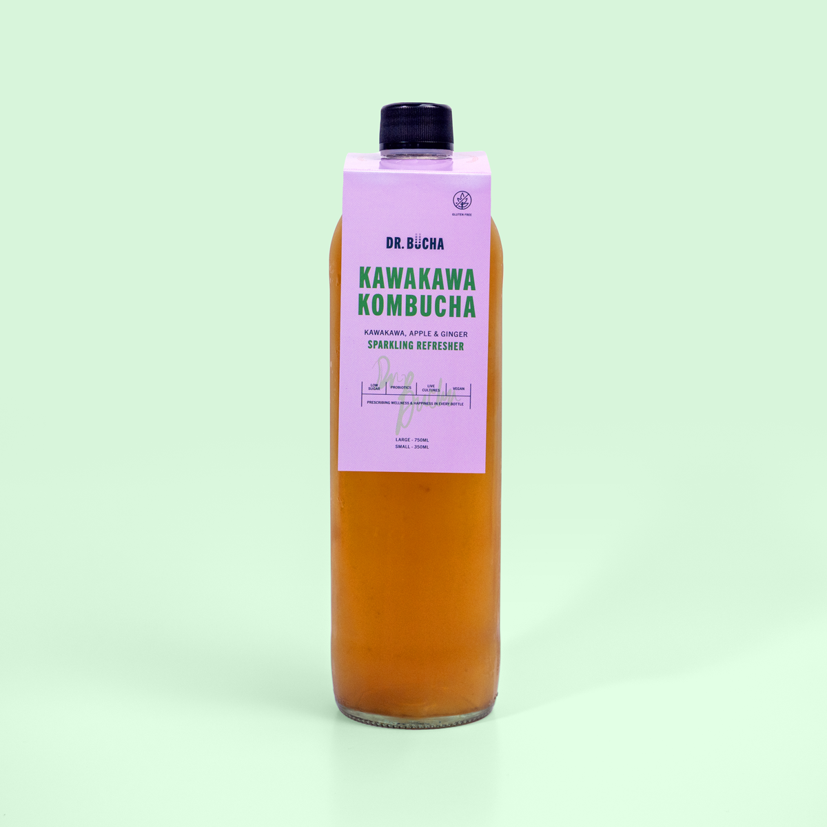 Dr. Bucha Kombucha