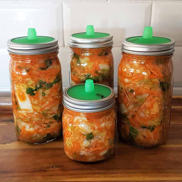 Goodlife Fermentation Lid