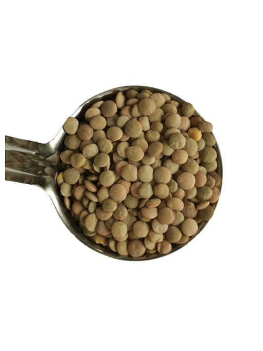 Lentils - Brown Laird