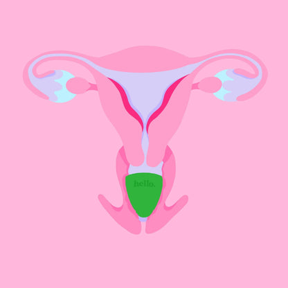 Hello Cup - Low Cervix