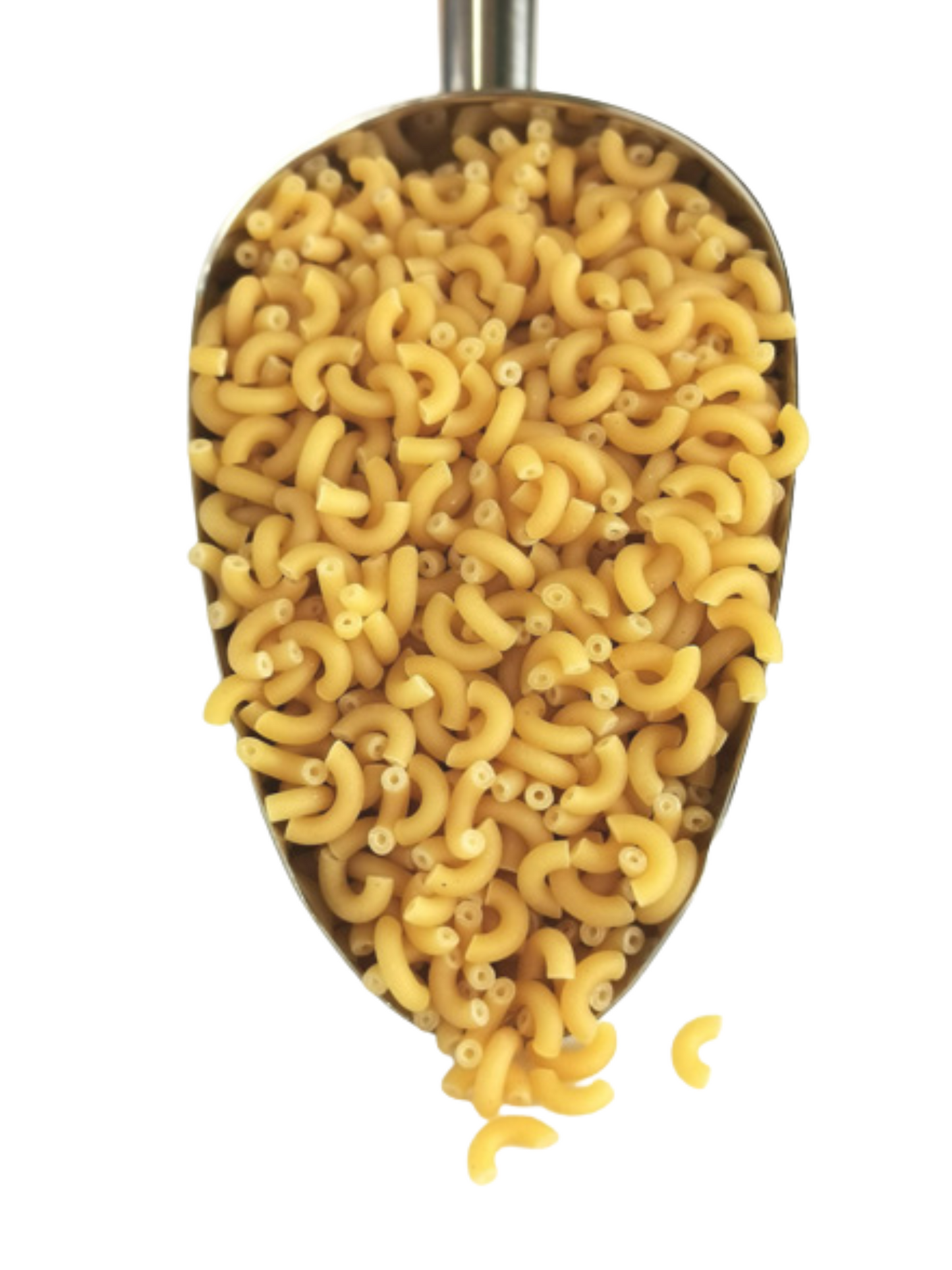 Macaroni Pasta