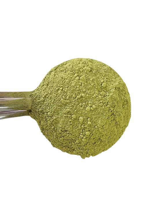 Organic Matcha Powder - Bulk