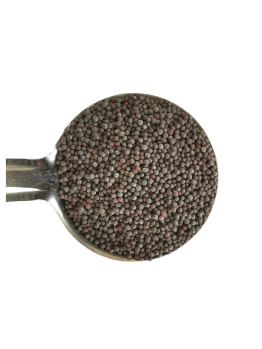 Organic Mustard Seeds - Black