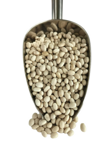 Navy (Haricot) Beans