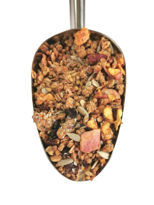 Organic Ginger Zest Granola