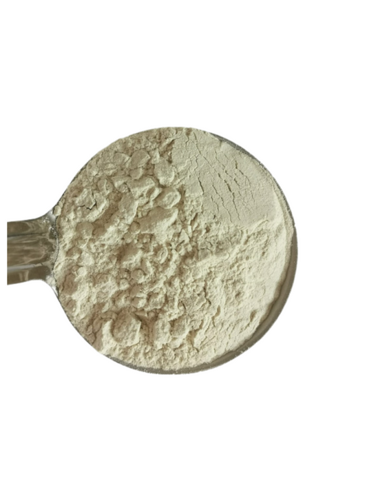 Organic Onion Powder