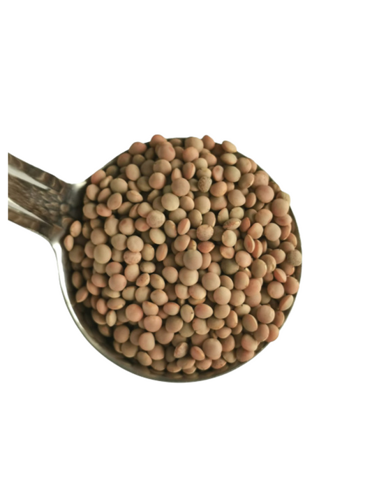 New Zealand Whole Red Lentils