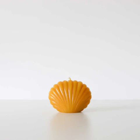 The Authentic Honey Co. Scallop Shell Candle