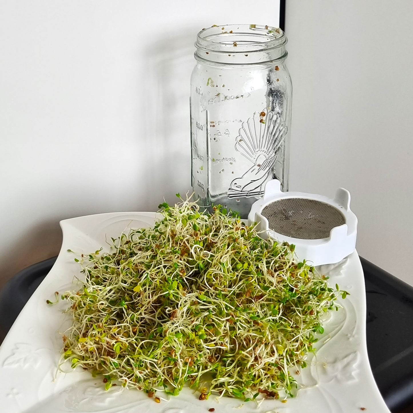 Goodlife Sprouting Jar Kit