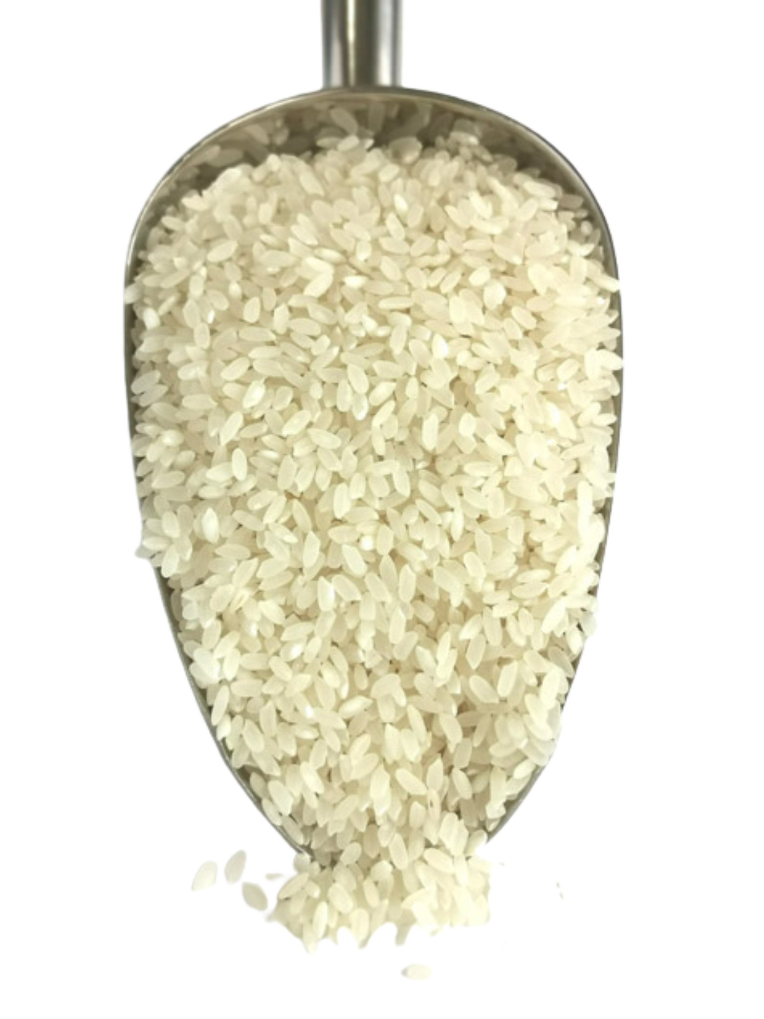 Short grain / Sushi rice