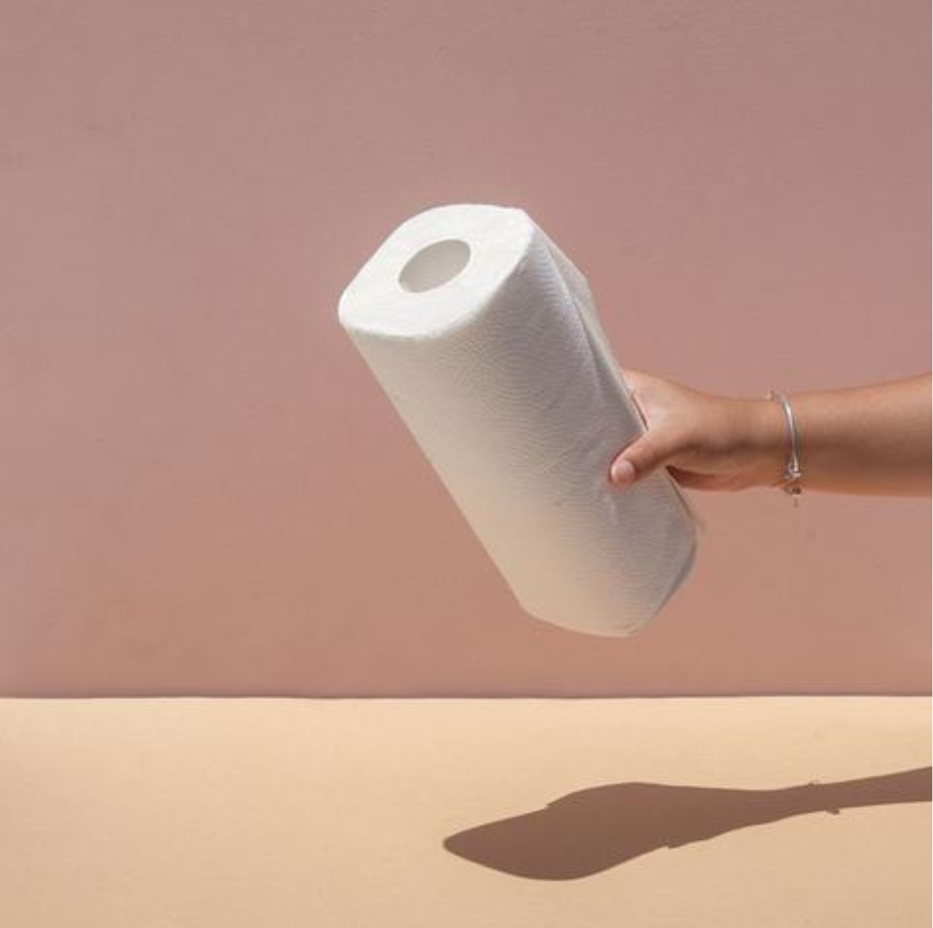 with small - Tree Free Paper Towels (single)
