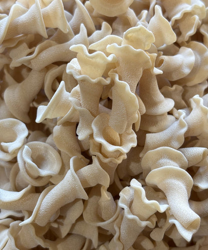 Monty & Sons NZ Durum Wheat Pasta - Trumpet