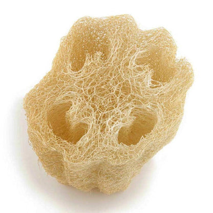 Egyptian Cleopatra Loofah - Large