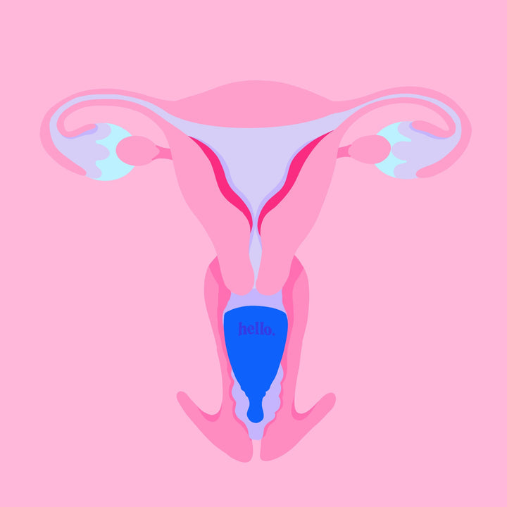 Hello Cup - High Cervix (Double Box)