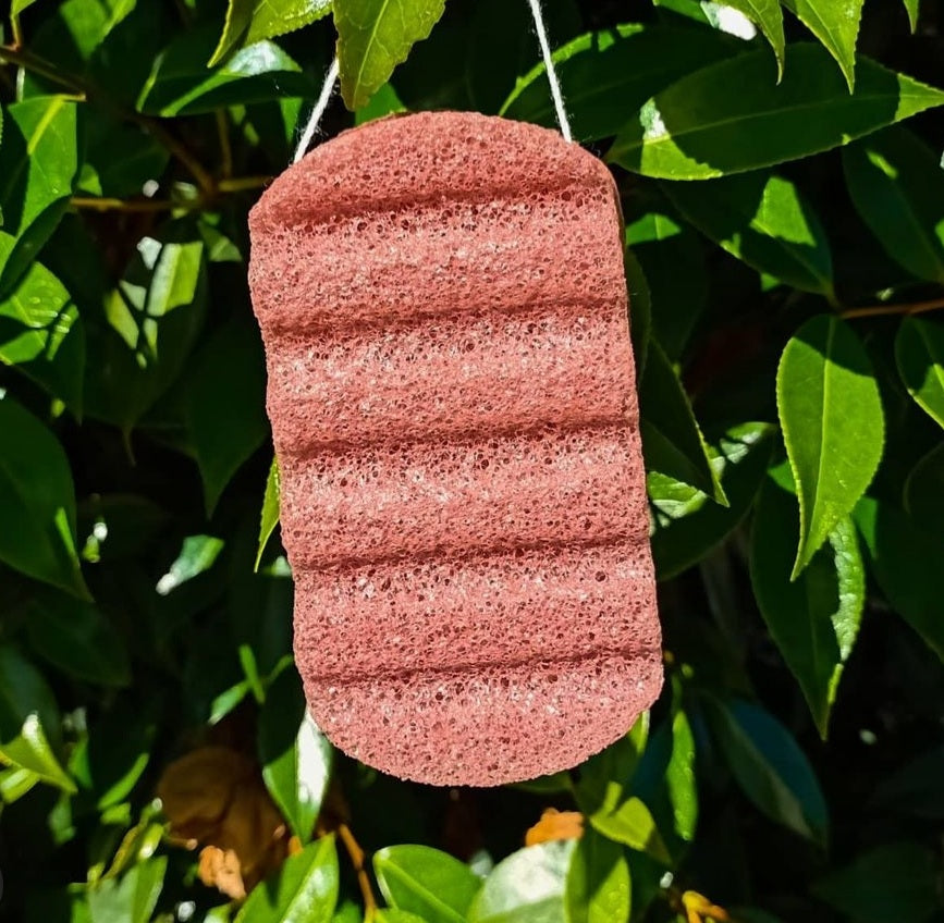 Konjac sponges